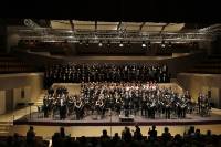 33729398_1168288503313339_7660339738833846272_o